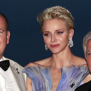 A l'hôpital Princesse-Grace, il a été le chef du service de radiologie puis du département d'imagerie médicale. Il a aussi fondé le Centre d'imagerie médicale de la Principauté et co-fondé l'Association monégasque pour la recherche sur la maladie d'Alzheimer. 

Le prince Albert II de Monaco et sa femme la princesse Charlène de Monaco, Dr Michel-Yves Mourou - 68ème gala de la croix rouge Monégasque dans la salle des Etoiles du Sporting Monte-Carlo à Monaco, le 23 juillet 2016. © Claudia Albuquerque/Bestimage