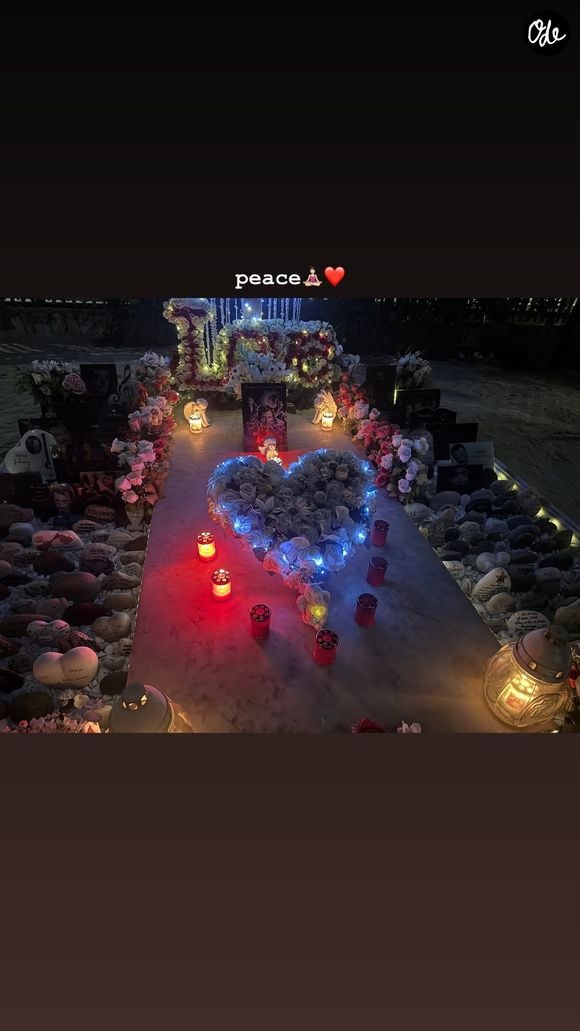 Laeticia et Joy Hallyday ont rendu un bel hommage à Johnny Hallyday. Capture d'écran Instagram