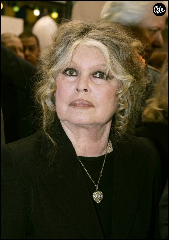 Retour sur l'incroyable succès de cette journée.

Johnny Hallyday et Brigitte Bardot au "Noël des animaux 2004" à Levallois Perret.

© Bestimage