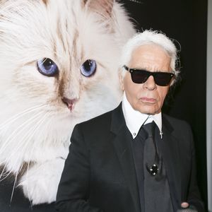 Karl Lagerfeld au vernissage "Corsa Karl et Choupette" à Berlin en Allemagne.

Photo : API / Bestimage