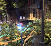 Un arbre bloque le Bld Malesherbes suite au déluge à Paris, France, le 25 juin 2025. © Elie Chocron / Bestimage