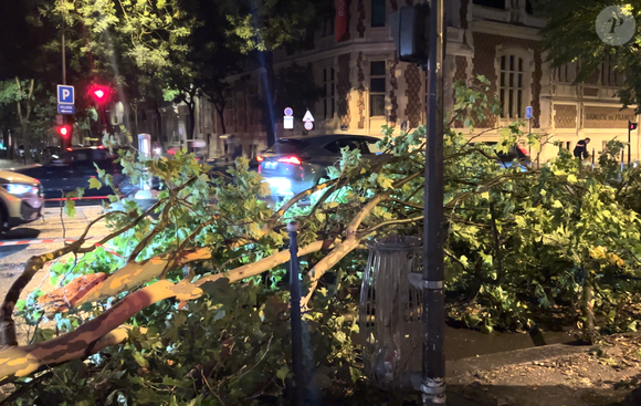 Un arbre bloque le Bld Malesherbes suite au déluge à Paris, France, le 25 juin 2025. © Elie Chocron / Bestimage