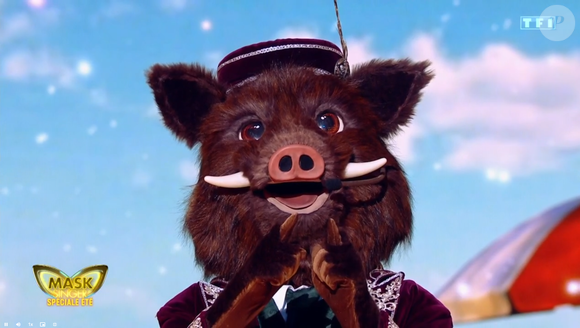 Le Sanglier dans mask Singer 9 - capture d'écran TF1