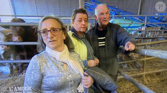 La vie à la ferme chez Jean-Louis dans "L'amour est dans le pré" avec ses prétendantes Sylvie et Isabelle.