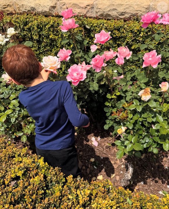 Archie admire la floraison des rosiers...

Archie de Sussex © Instagram