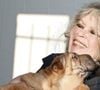"Je vous serre sur mon cœur. Merci de comprendre !" a conclu celle qui n'a jamais cessé de penser au bien-être animal.
Brigitte Bardot, légende du cinéma français et fervente défenseure des animaux, visite un refuge animalier à Nice, dans le sud de la France, le 28 décembre 2005, où des chiens hongrois trouvés dans un camion clandestin ont été amenés. Les 146 jeunes chiens ont été découverts par la police française lors d'un contrôle douanier dans les Alpes-Maritimes, alors qu'ils étaient exportés de Hongrie vers l'Espagne pour trafic illégal. Photo : ABACAPRESS.COM