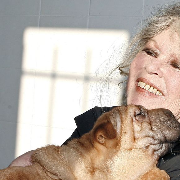 "Je vous serre sur mon cœur. Merci de comprendre !" a conclu celle qui n'a jamais cessé de penser au bien-être animal.

Brigitte Bardot, légende du cinéma français et fervente défenseure des animaux, visite un refuge animalier à Nice, dans le sud de la France, le 28 décembre 2005, où des chiens hongrois trouvés dans un camion clandestin ont été amenés. Les 146 jeunes chiens ont été découverts par la police française lors d'un contrôle douanier dans les Alpes-Maritimes, alors qu'ils étaient exportés de Hongrie vers l'Espagne pour trafic illégal. Photo : ABACAPRESS.COM