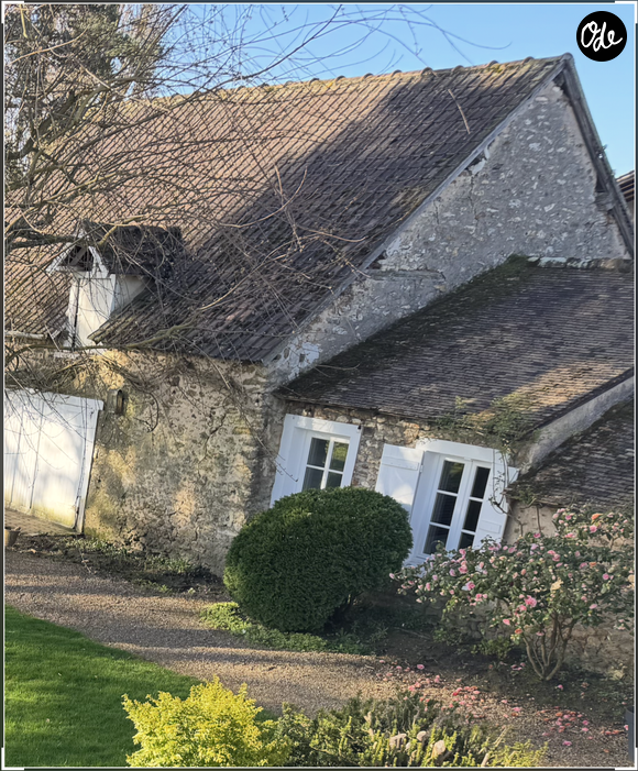 possède aujourd'hui avec celui qui partage sa vie une entreprise spécialisée dans l'aménagement intérieur.

Cécile de Ménibus et son compagnon Thierry réhabilitent une maison en Normandie