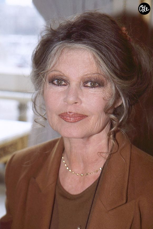Archives - Brigitte Bardot
© JLPPA / Bestimage