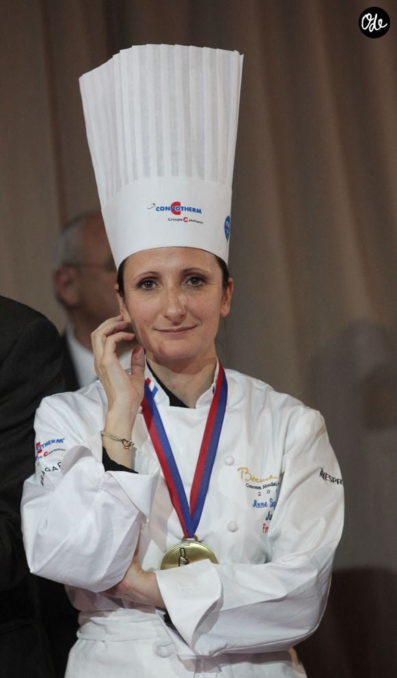 Son père, son grand-père et son arrière-grand-mère étaient tous restaurateurs. Elle a pris le train en cours et collabore à présent avec différents acteurs du monde artistique.

Anne-Sophie Pic présente au Bocuse d'Or, un concours international de cuisine qui porte le nom de l'un des chefs légendaires de la cuisine française, Paul Bocuse. Cet événement, qui rassemble les plus grands maîtres de la cuisine du monde entier, s'est déroulé à Chassieu, près de Lyon, en France, du 27 au 28 janvier 2009. Photo de Vincent Dargent/Abaca