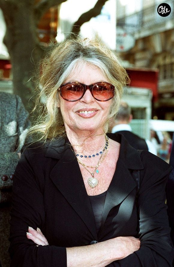 Archives - Brigitte Bardot.

© Backgrid UK/ Bestimage