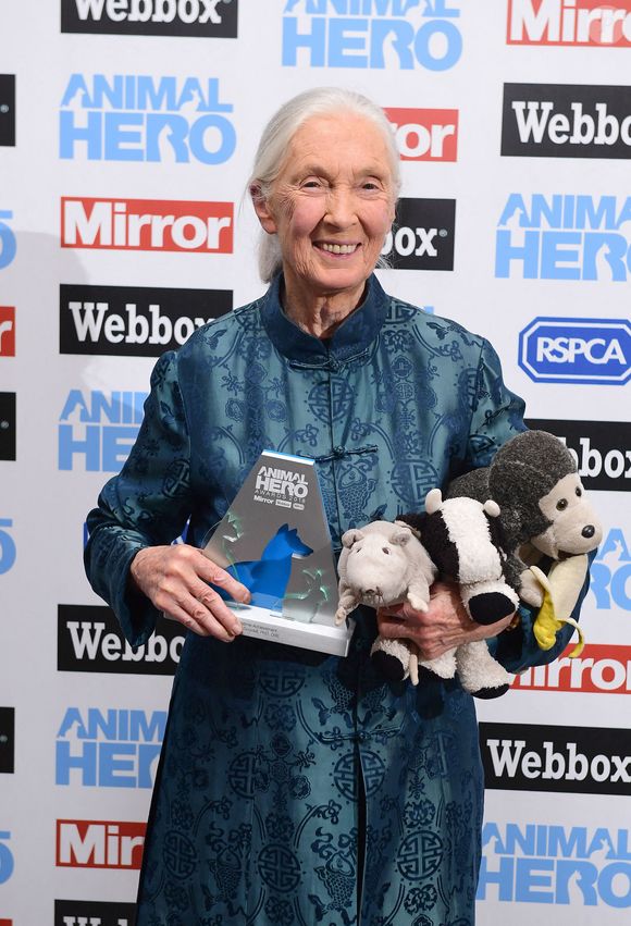 Jane Goodall avec le Lifetime Achievement Award lors des Animal Hero Awards 2018 qui se sont tenus à l'hôtel Grosvenor House, à Londres. La conservatrice britannique et spécialiste des chimpanzés. Photo : Ian West/PA Wire