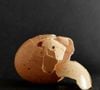 Une méthode naturelle basée sur l'usage de coquilles d’œufs fait également ses preuves en décourageant la progression des fourmis à travers la maison.