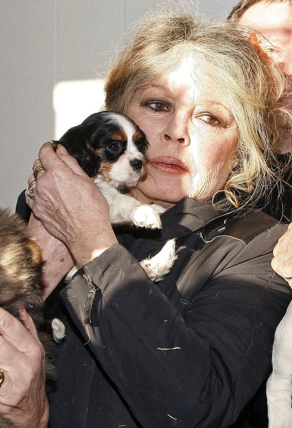 La légende du cinéma français Brigitte Bardot, devenue une fervente défenseuse des animaux, visite un centre de protection des animaux à Nice, dans le sud de la France, le 28 décembre 2005, où ont été amenés des chiens hongrois trouvés dans un camion clandestin. Photo by ABACAPRESS.COM