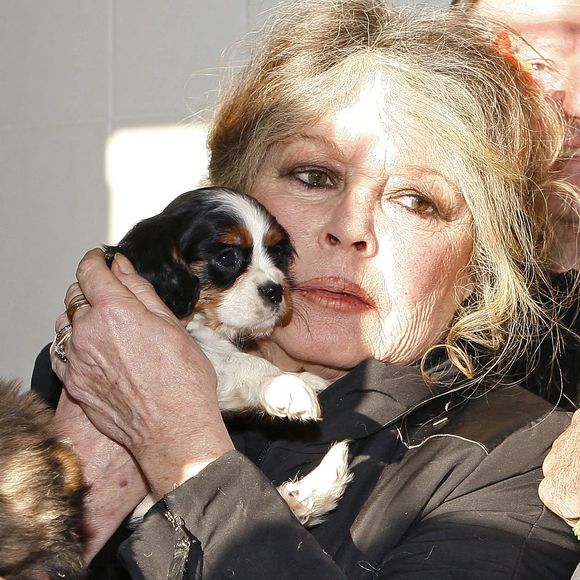 La légende du cinéma français Brigitte Bardot, devenue une fervente défenseuse des animaux, visite un centre de protection des animaux à Nice, dans le sud de la France, le 28 décembre 2005, où ont été amenés des chiens hongrois trouvés dans un camion clandestin. Photo by ABACAPRESS.COM
