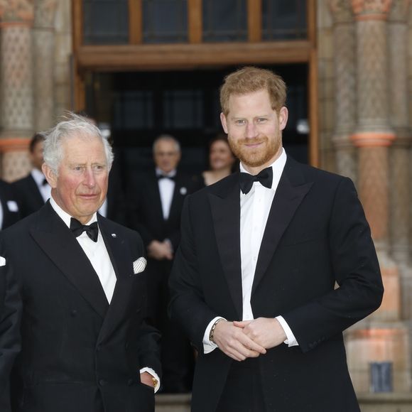 Le prince Charles, prince de Galles, le prince Harry, duc de Sussex, à la première de la série Netflix "Our Planet" au Musée d'Histoires Naturelles à Londres, le 4 avril 2019. (Backgrid UK/ Bestimage).