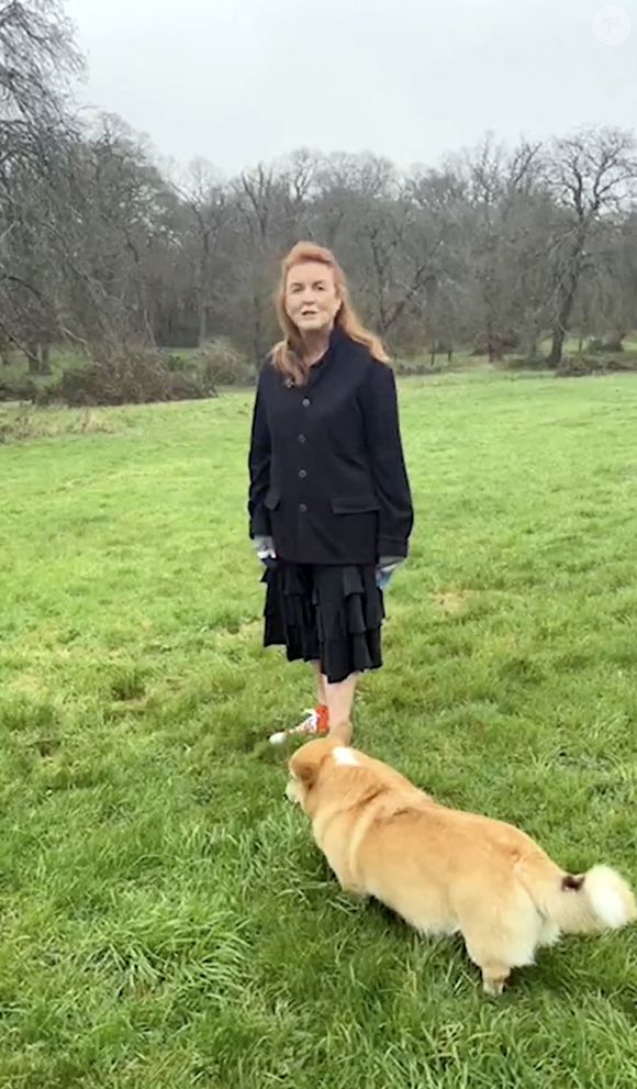 Sarah Ferguson / Instagram
La princesse britannique Sarah Ferguson a partagé un message de Noël alors qu'elle promenait deux des corgis de la défunte reine Elizabeth.

Photo fournie par JLPPA
