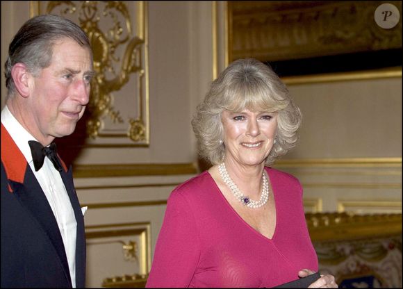 Le prince Charles et Camilla Parker Bowles au château de Windsor le jour de l'annonce officielle de leur mariage.

© GOFF INF / BESTIMAGE
