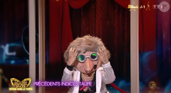 La Taupe de Mask Singer 8, capture d'écran TF1