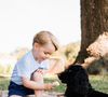 Pour la naissance du prince George, Lupo était présent à leurs côtés.

Le prince George, qui fête son troisième anniversaire en compagnie de Lupo, l'animal de compagnie de la famille. La photo a été prise à leur domicile de Norfolk à la mi-juillet par Matt Porteous. Photo par Porteous/PA Wire/ABACAPRESS.COM
