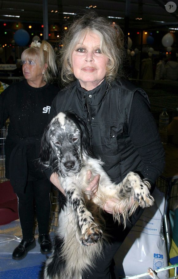 Archives - Brigitte Bardot est morte à 91 ans - BGUK_3449353 - na, FRANCE FILE PHOTOS - La star du cinéma français Brigitte Bardot est morte à l'âge de 91 ans.



Le communiqué, consulté par l'agence de presse AFP, la présente comme une "actrice et chanteuse de renommée mondiale, qui a choisi d'abandonner sa prestigieuse carrière pour consacrer sa vie et son énergie à la protection des animaux et à sa fondation"



Sur la photo : Brigitte Bardot