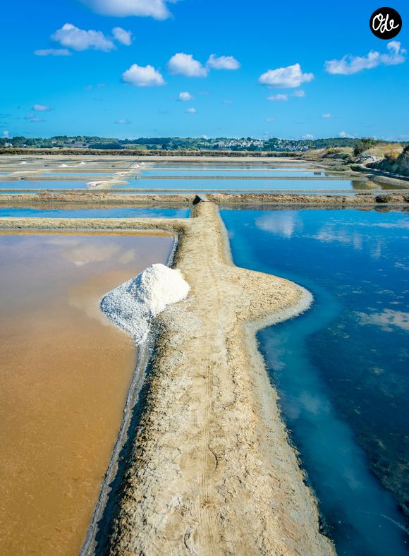 Pour cause, l'océan n'est pas composé que de sel pur. Le verdict d'un spécialiste est sans appel : "On va avoir tous les polluants, des résidus de pesticide, de médicaments, d'hydrocarbure, tout ce qui est métaux lourds aussi et tout ça, ça va largement contaminer le sel."

Image unsplash