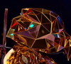 Qui a très bien fonctionné en France en restant Top 1 pendant 20 semaines

L'Oiseau dans Mask Singer, capture d'écran TF1