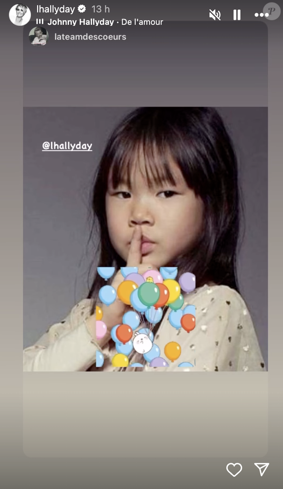 Capture d'écran de la story Instagram de Læticia Hallyday.