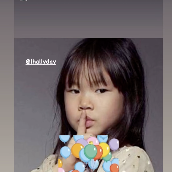 Capture d'écran de la story Instagram de Læticia Hallyday.