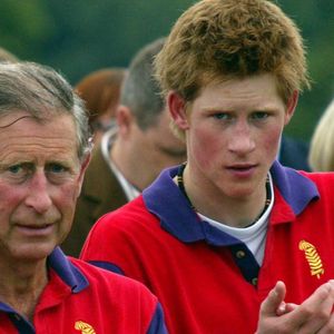 Le prince Harry, désormais établi bien loin de son père et de son frère, ne représente aucune menace pour le règne de Charles III mais on ne peut pas forcément en dire autant du prince William. 

Archive - Le prince Charles, prince de Galles devenu l le roi Charles III d'Angleterre. ©Photoshot/Panoramic/Bestimage