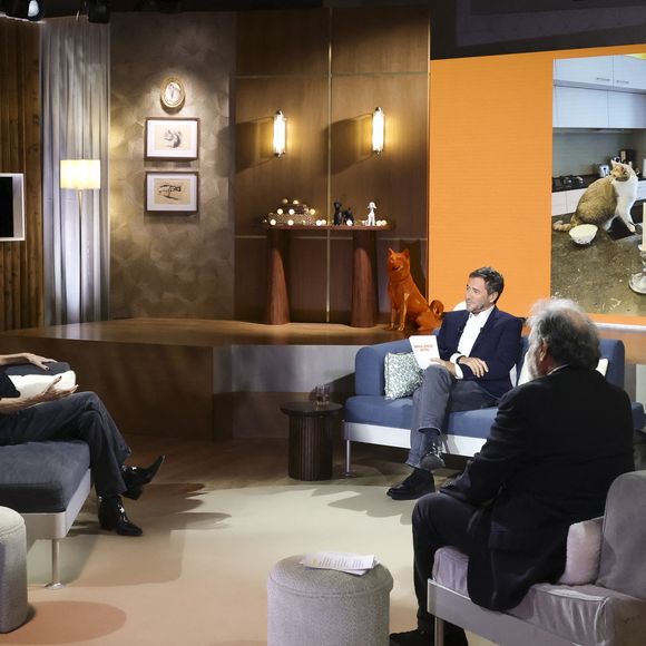 Il s'agit de Claire Chazal 

Exclusif - Claire Chazal, sur plateau de la nouvelle émission "Animalement Vôtre" présentée par Bernard Montiel et diffusée le 7 décembre sur France 3, à Paris, France, le 7 octobre 2025. © Jack Tribeca/Bestimage