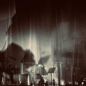 Damien Saez en concert. Instagram/damiensaez