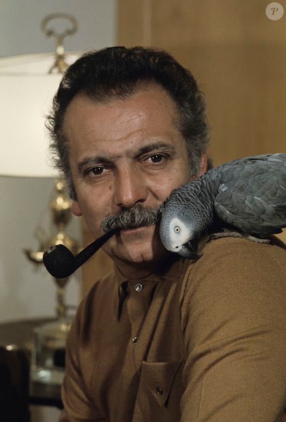 Archives - En France, à Paris, Georges Brassens fumant la pipe avec son perroquet en septembre 1977. Jean Lenoir via Bestimage