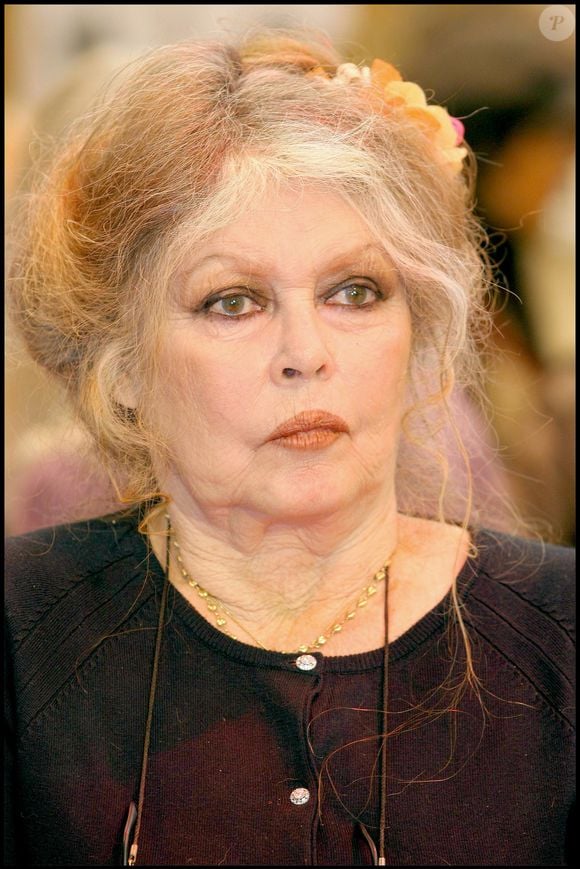 Archives - Brigitte Bardot . Noel des animaux de la S.P.A au palais des sports Marcel Cerdan. 10/12/2005 © Guillaume Gaffiot/Bestimage
