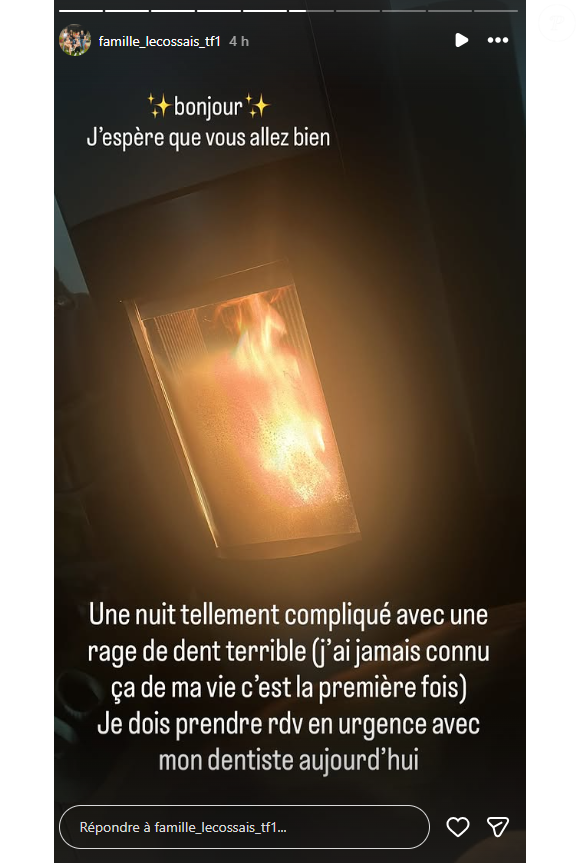 Elle indique en story sur Instagram souffrir d'une rage de dent.

Fanny Lecossais (Familles nombreuses) doit patienter avant de soigner sa rage de dent.