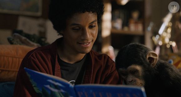 Avec le temps, le chimpanzé grandit et quitte progressivement l’univers médiatique pour des raisons de sécurité et de comportement.

Bande-annonce du biopic sur Michael Jackson montre la star en train d'interagir avec son chimpanzé de compagnie, Bubbles.

Photo fournie par JLPPA