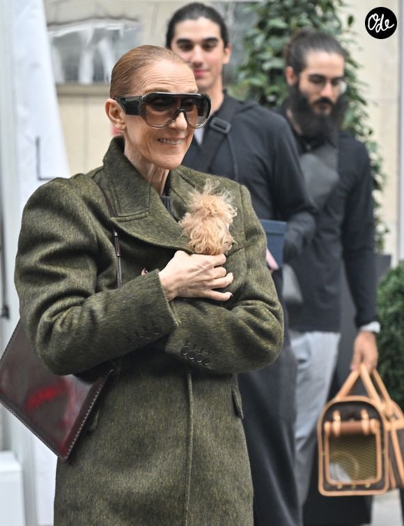 Les deux garçons avaient accompagné leur mère à Paris.

Céline Dion, accompagnée de ses fils Eddy et Nelson Angelil, quitte le palace Royal Monceau à La Plenitude Arena à Paris, après 16 concerts en cinq semaines devant près de 500.000 personnes, le 19 octobre 2026. 
© Christian Liewig / Bestimage