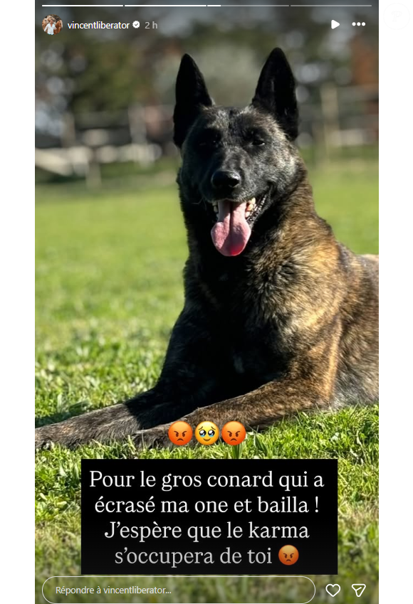 "Pour le gros connard qui a écrasé ma One et bailla ! J'espère que le karma s'occupera de toi"

Vincent (L'amour est dans le pré) pleure la mort de son chien One