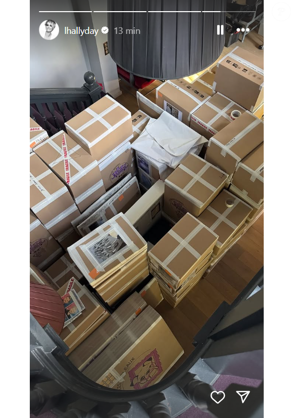 Laeticia Hallyday publie régulièrement des vidéos et photos sur son compte Instagram.