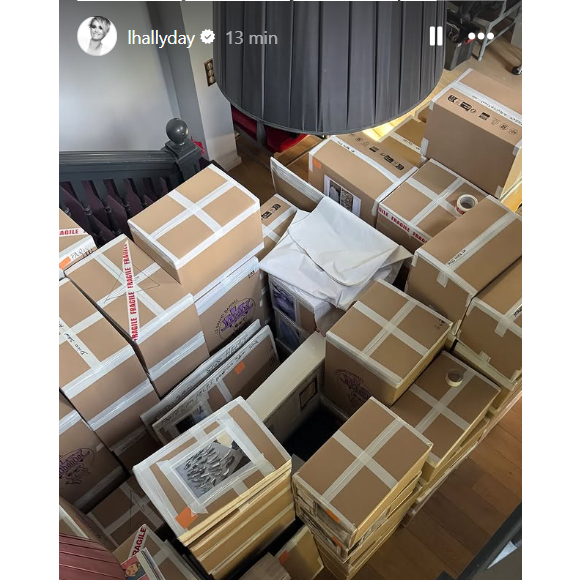 Laeticia Hallyday publie régulièrement des vidéos et photos sur son compte Instagram.