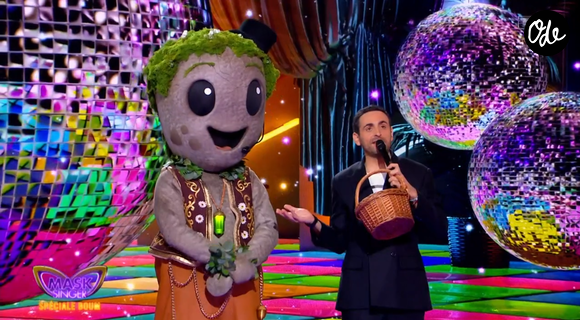 Le Caillou est éliminé !

Le Caillou dans Mask Singer 9 - capture d'écran TF1