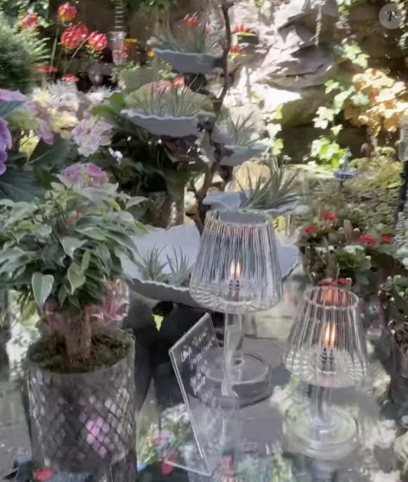 hautjardin_steevy