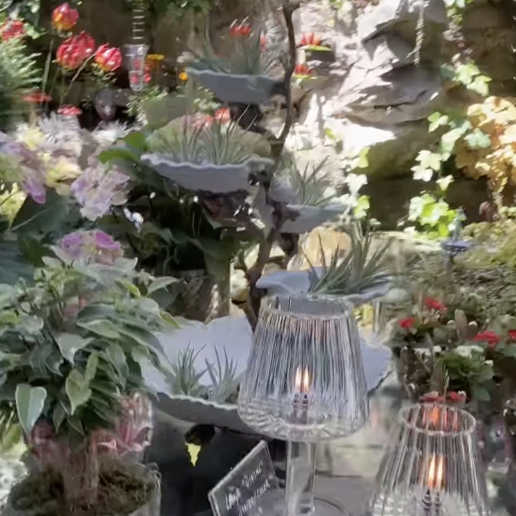 hautjardin_steevy