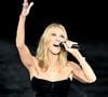 Son ingénieur du son en est encore ému : “C'est un miracle qu'elle soit là et aussi tellement d'efforts de sa part. Je pense que ce sont les concerts les plus importants de sa vie”. 

Céline Dion défile lors du défilé L'Oréal dans le cadre de la Fashion Week de Paris, à Paris, en France, le 28 septembre 2026. Photo de Julien Reynaud/APS-Medias/ABACAPRESS.COM