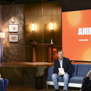 Un célèbre chanteur invité dans "Animalement vôtre" sur France 3

Exclusif - Thomas Dutronc et Bernard Montiel 
Jack Tribeca / Bestimage