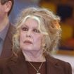 Surprise d'apprendre qu'elle a passé l'arme à gauche, Brigitte Bardot sort de sa réserve