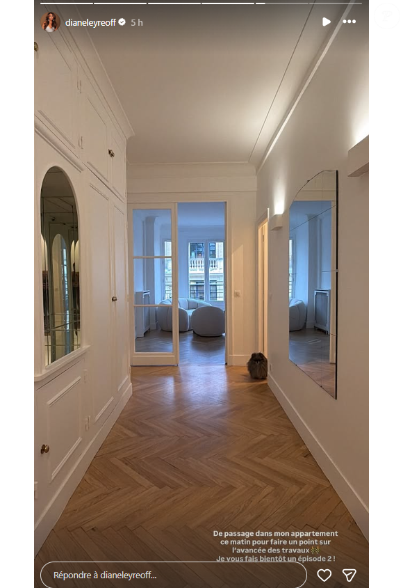 Sur l'image, l'ex reine de beauté dévoile son entrée lumineuse au parquet chevron et aux murs d'un blanc immaculé et composés de miroirs de chaque côté. Le couloir donne sur l'espace salon où sont déjà installés deux fauteuils blancs devant une fenêtre donnant sur la rue. 

Diane Leyre montre des nouvelles images de son appartement à Paris.
