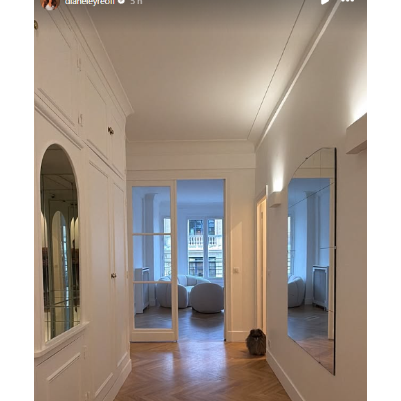 Sur l'image, l'ex reine de beauté dévoile son entrée lumineuse au parquet chevron et aux murs d'un blanc immaculé et composés de miroirs de chaque côté. Le couloir donne sur l'espace salon où sont déjà installés deux fauteuils blancs devant une fenêtre donnant sur la rue. 

Diane Leyre montre des nouvelles images de son appartement à Paris.