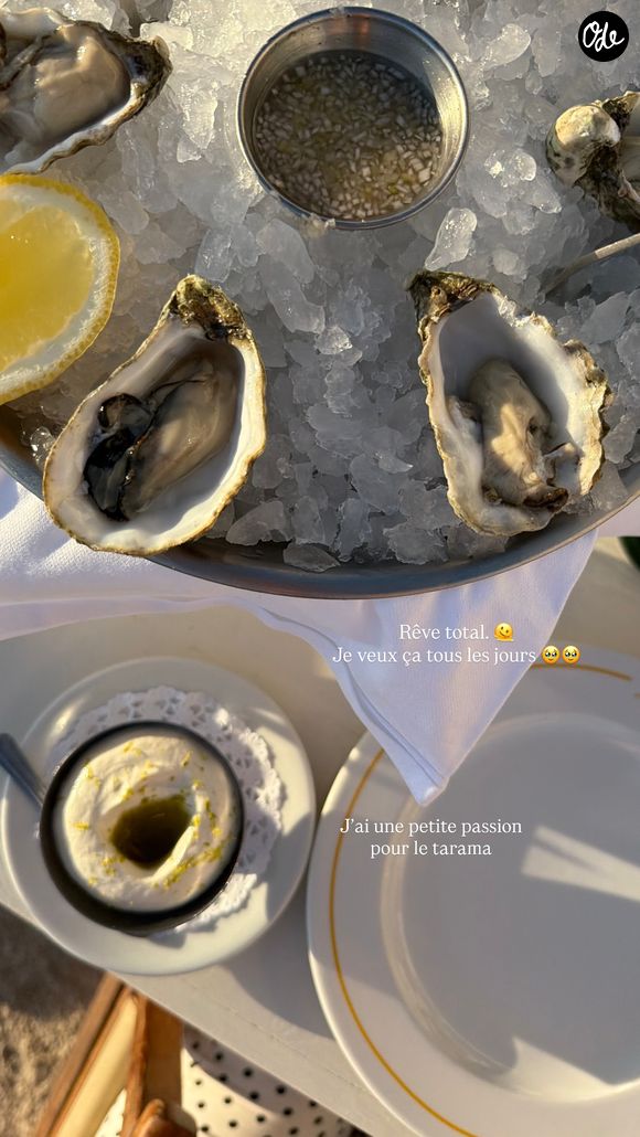 Dans la suite de ses publications, elle a partagé un cliché des huîtres qu’elle dégustait, écrivant alors : "Rêve total. Je veux ça tous les jours. J’ai une passion pour le tarama." 

Iris Mittenaere au Tuba Club à Marseille - Photo Instagram partagée le samedi 20 juin 2026
