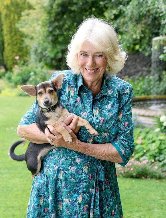 Camilla Parker Bowles, reine consort d'Angleterre à Lacock dans le Wiltshire (Royaume-Uni) en juillet 2025.
Picture by Chris Jackson/WPA-Pool